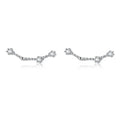 12 Constellations Zodiac Sign Earrings for Women Pisces