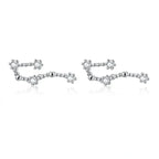 12 Constellations Zodiac Sign Earrings for Women Aquarius