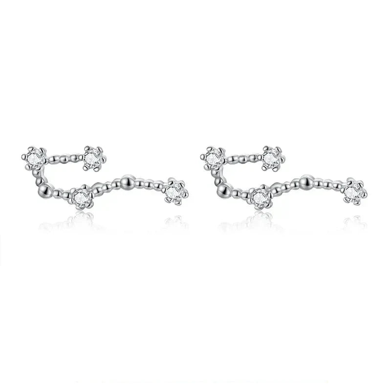 12 Constellations Zodiac Sign Earrings for Women Aquarius