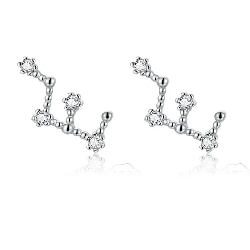 12 Constellations Zodiac Sign Earrings for Women Virgo
