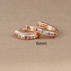 Women's rainbow earrings
