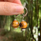 Women's Hanging Earrings Tiger's Eye