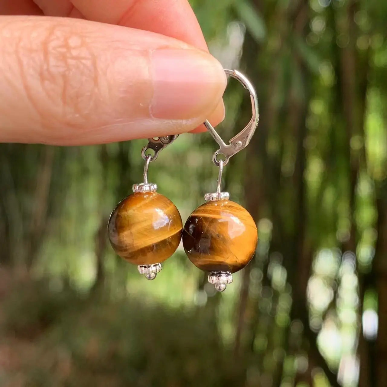 Women's Hanging Earrings Tiger's Eye