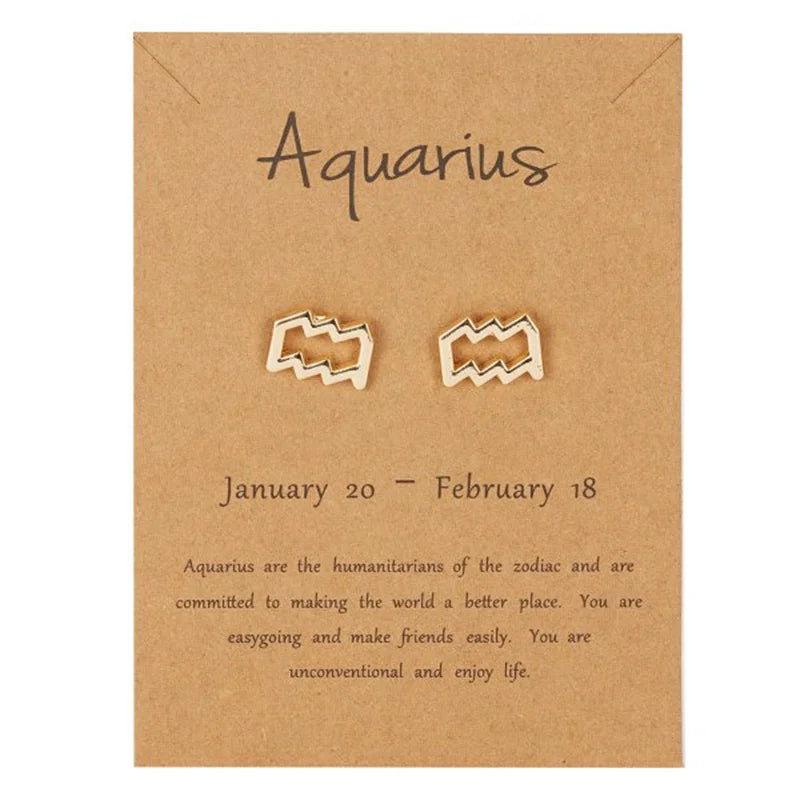 Zodiac Sign Earrings 12 Constellations Aquarius